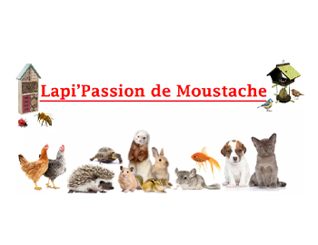 Lapi’passion de moustache (Accessoire et nourritures pour rongeurs, chiens, chats….)